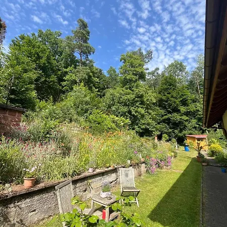 Apartment Waldidyll Trippstadt