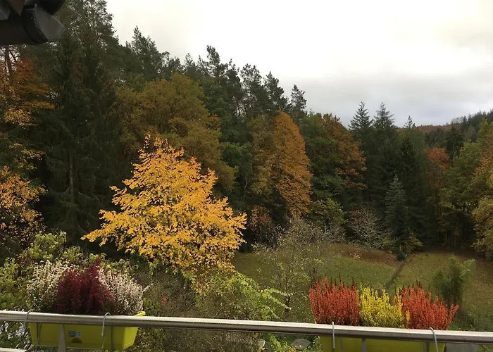 Waldidyll 아파트 *